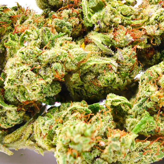 Fleur de Lemon Sorbet - Popeye Club