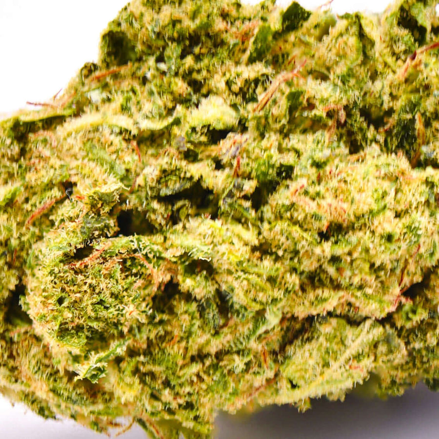 Fleurs d'Amnésia x Mango - GlassHouse Colombie