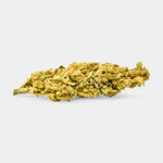 Fleurs d'Amnésia x Mango - GlassHouse Colombie - Vignette | Bud Company