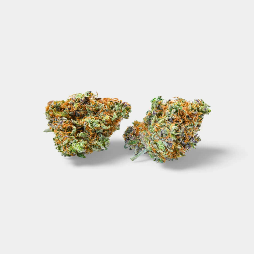 LA Sunset en gros - 8% CBD - Indoor Hydro - Popeye Club