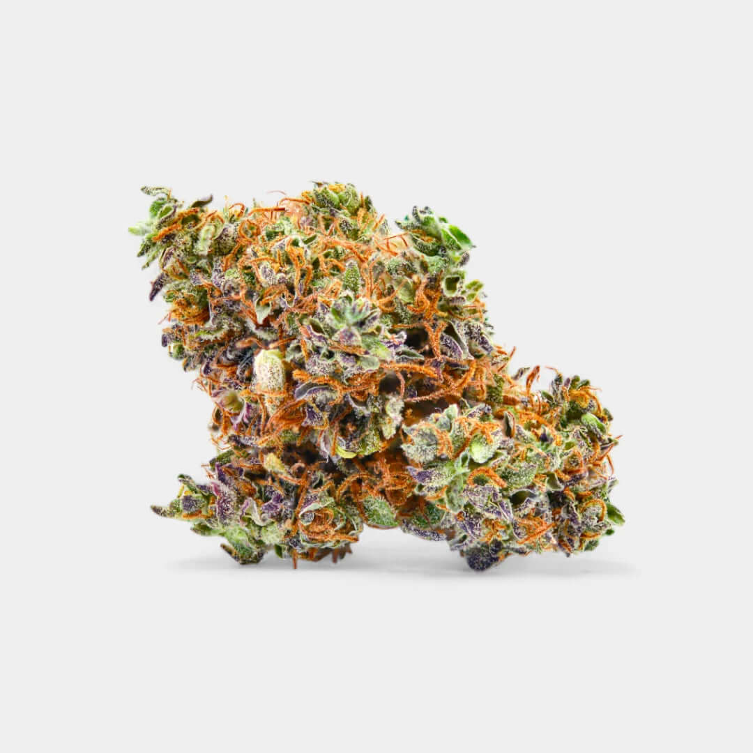 LA Sunset en gros - 8% CBD - Indoor Hydro - Popeye Club