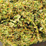 Lemonade - Vignette | Popeye Club