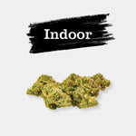 Lemonade - Vignette | Popeye Club