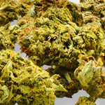 Small bud Greenhouse - Vignette | Bud Company