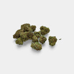 Small Bud Little Kiss en gros - Indoor Hydro - Vignette | Bud Company