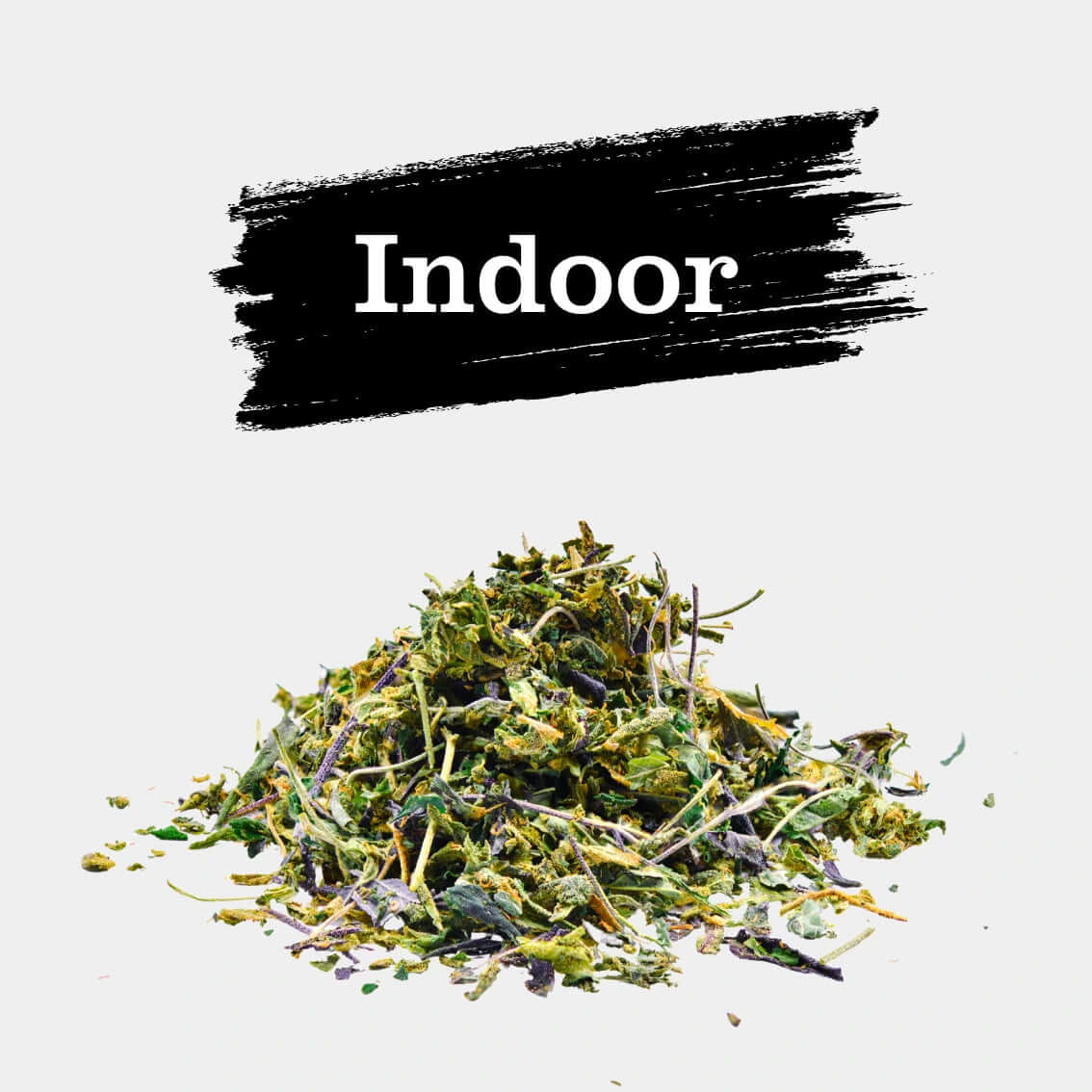 Trim de Blue Gelato - Popeye Club