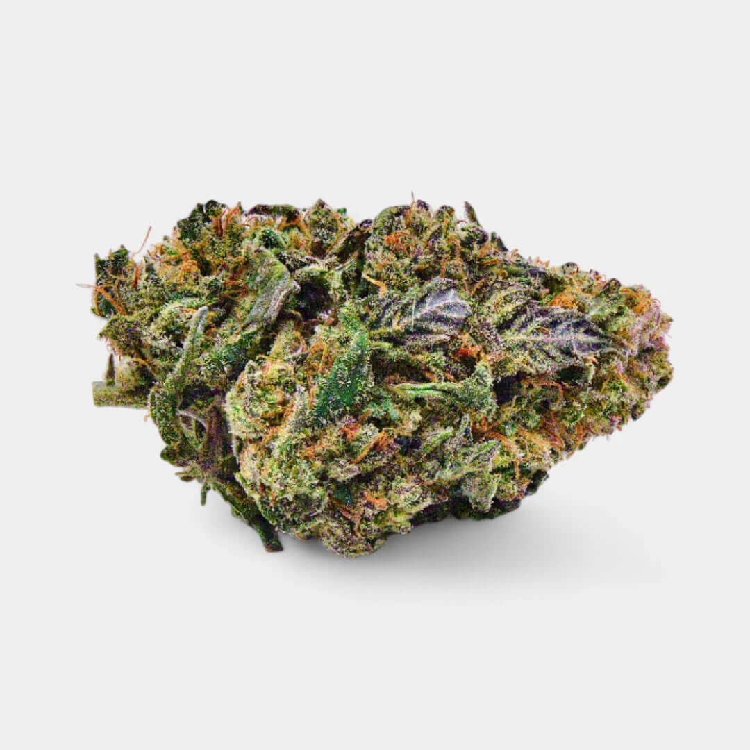 Violet Strawberry - Popeye Club