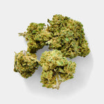 White Dawg en gros - Greenhouse - Vignette | Bud Company