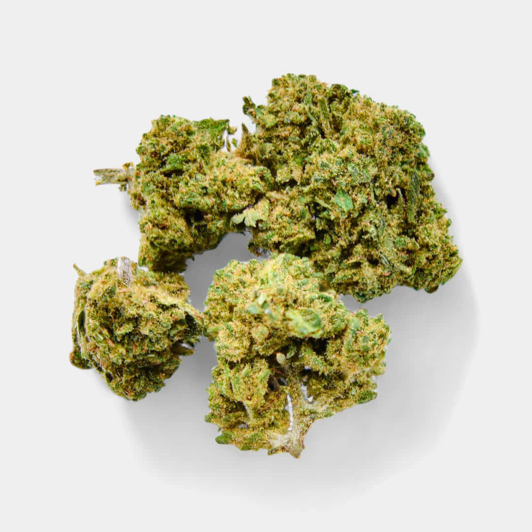 White Dawg en gros - Greenhouse - Popeye Club