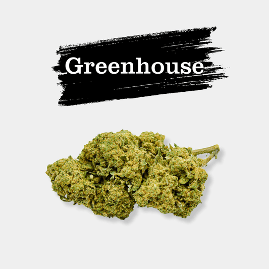 White Dawg en gros - Greenhouse - Popeye Club